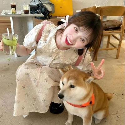 我的新野蛮女友