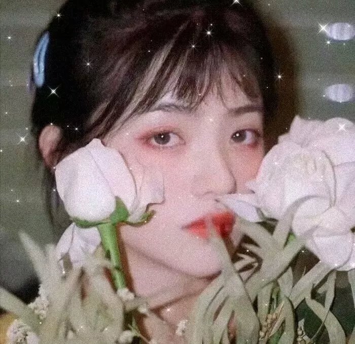 热带的甜蜜