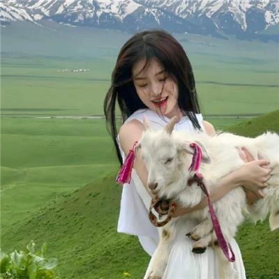 在无爱之森呐喊:深入密林